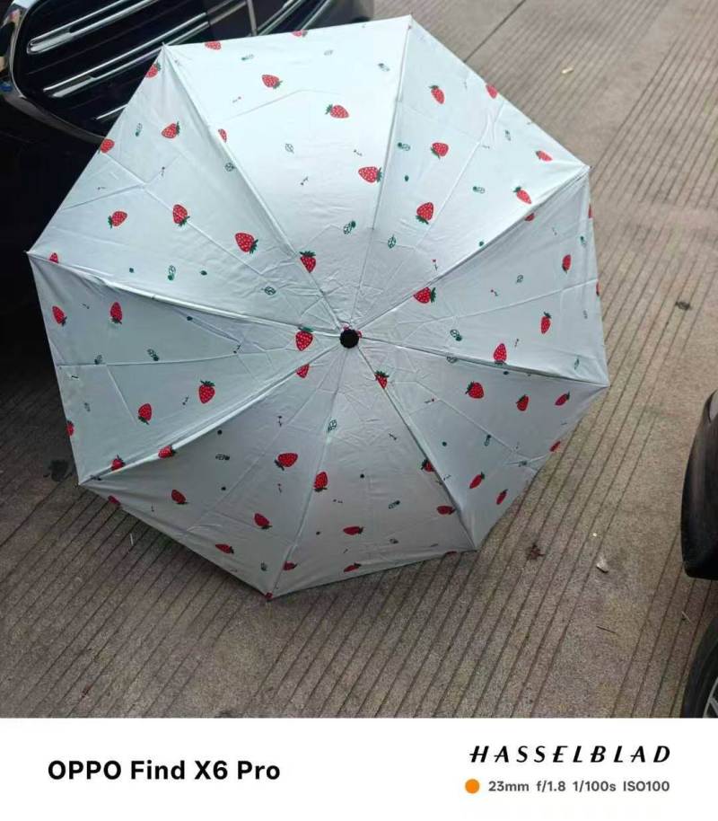 ​黑胶晴雨伞1300支，清货6.2元